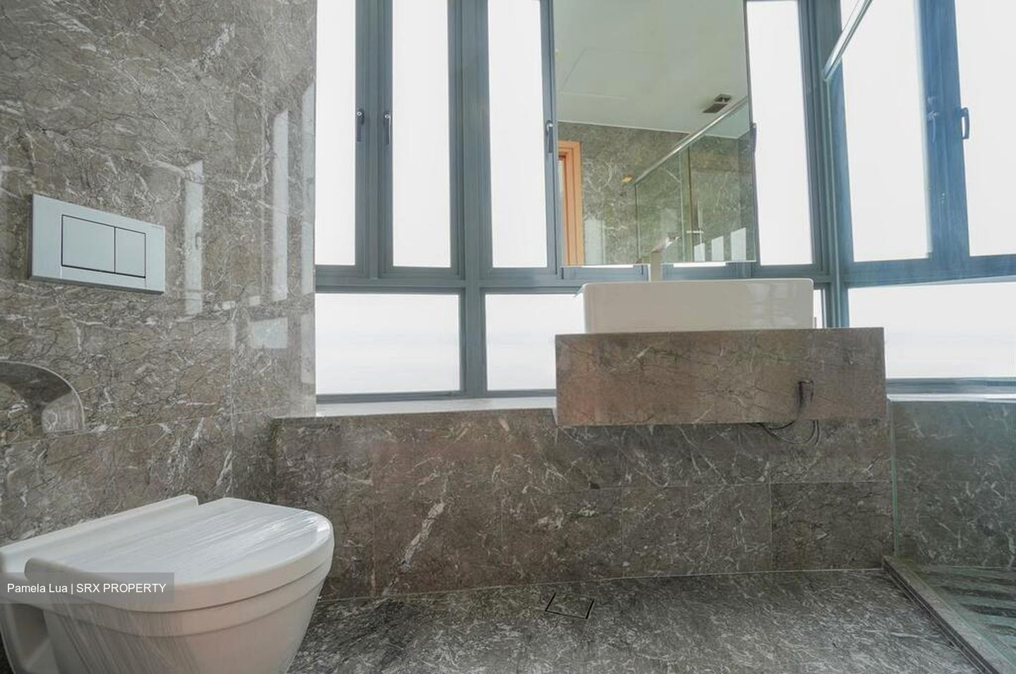 Lucida (D11), Apartment #467177371